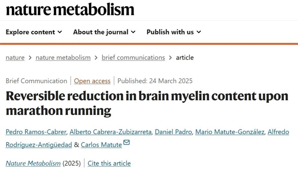 马拉松跑步爱好者需警惕！研究揭示：过度消耗导致大脑自我吞噬