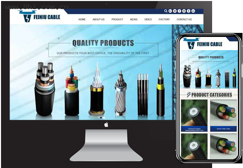 上海外贸网站建设：上海外贸建站怎么做