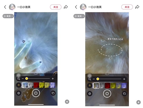 网友称iPhone可检测昆虫 苹果官方澄清放大器并未具备此功用