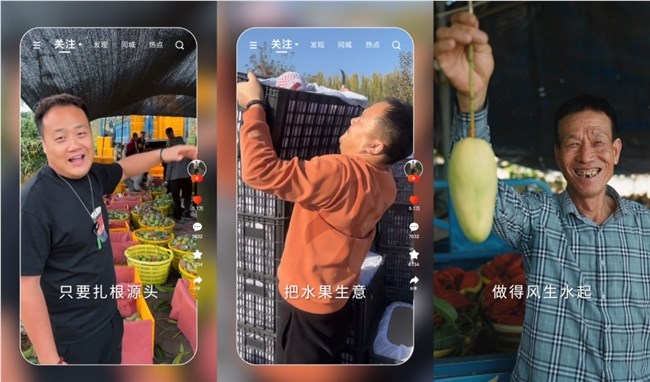 跨界转身：码农变果农，“候鸟”主播的应季水果追踪之旅