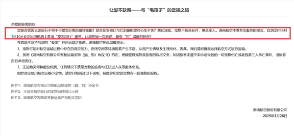 长沙人可以带猫狗坐飞机了：湖南航空推出“爱宠同行”产品